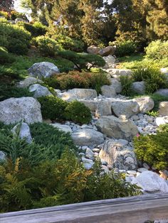 a wooden bench sitting in the middle of a forest filled with lots of rocks and plants