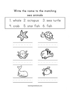 worksheet for beginning with the letter i and number two, including an image of sea animals