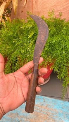 a person holding an old knife in front of a potted plant with grass growing out of it