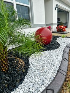 a red ball sitting on top of a black and white rock garden bed next to a palm tree