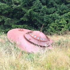 an old, rusted out object in the middle of some tall grass