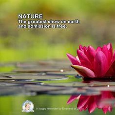 a pink water lily floating on top of a body of water with the words nature