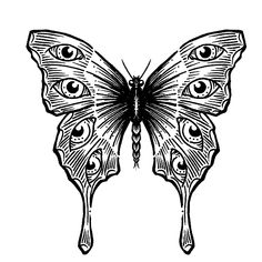 a black and white drawing of a butterfly with eyes on it's back wing