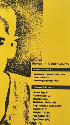 a yellow poster with black writing on it that says, florida & coller county