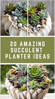 some plants are arranged in the shape of a heart and text reads 20 amazing succulent planter ideas