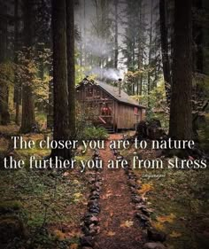 Home In The Forest, Forest Quotes, Nature Quotes Inspirational, Mother Nature Quotes, Off Grid Homestead, Science History, Beating Heart, Art Science, Cabin Life