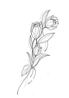 a line drawing of flowers on a white background