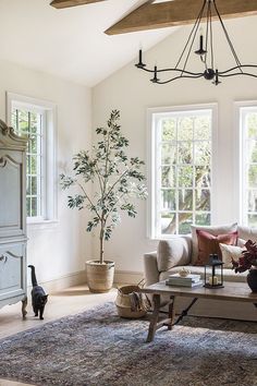 a living room filled with furniture and windows