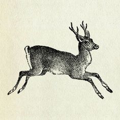 a black and white drawing of a deer jumping in the air with antlers on it's back