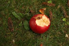 an apple that has been bitten in the grass