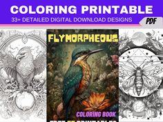 the coloring book for adults and children with an image of a hummingbird on it