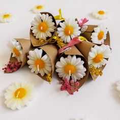 some flowers are laying on the table together