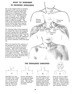 an instruction manual for how to draw the head and shoulders, with instructions on how to use