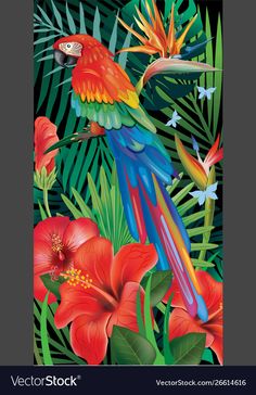 colorful parrots and tropical flowers on a black background with green palm leaves, red hibis