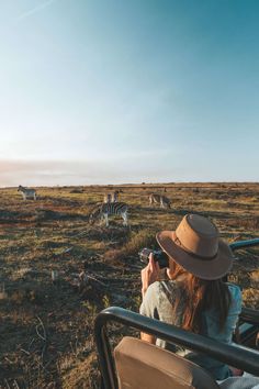 a woman in a hat is looking at zebras from the back of a vehicle