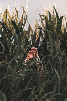 a woman standing in the middle of a corn field with her hands up to her face