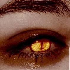 an eye with yellow iris and black eyelashes