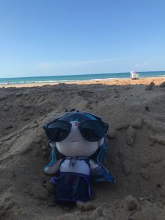 a stuffed animal wearing sunglasses sitting in the sand