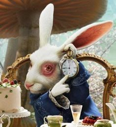 two rabbits dressed up as alice and the white rabbit with red eyes sitting at a table