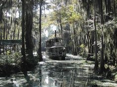 a truck driving down a street next to trees covered in spanish moss and lichen