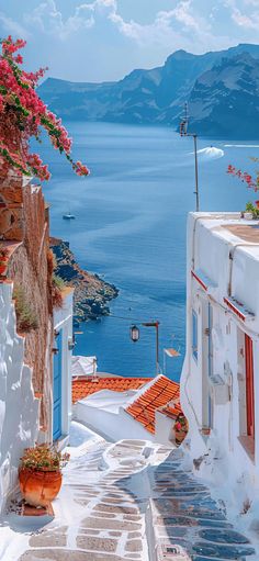 an alley way with steps leading to the water and flowers growing on the side of it