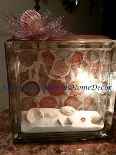 sea shells and seashells are displayed in a glass box on the counter top