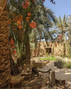 an outdoor area with palm trees and flowers in the foreground, surrounded by stone buildings