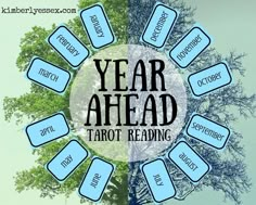 the year ahead tarot reading is in front of a tree with blue tags around it