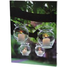 two clear glass vases filled with candles hanging from a tree branch