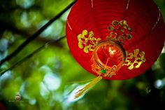 a red paper lantern hanging from a tree branch with gold decorations on the top and bottom