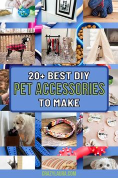 there are pictures of dogs and their accessories in this collage with the words 20 best diy pet accessories to make