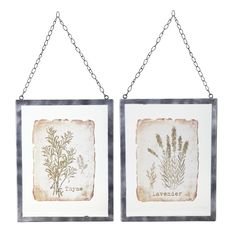 Lavender/Thyme Frame Herb Prints, Rustic Art, Shopify Theme, Frame Set, Green Fabric, Glass Set, Thyme, Metal Walls, Decorating Your Home