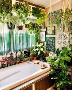 a bath tub sitting next to a window covered in lots of potted plants and greenery