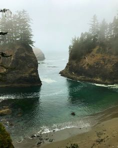 the water is very blue and green with some trees on it in the foggy day