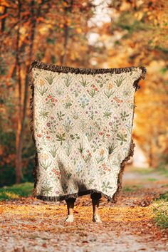 a blanket draped over a horse on a dirt road surrounded by trees in the fall