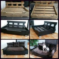 four different pictures of a dog sitting on a couch made out of pallets