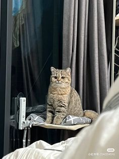 a cat sitting on top of a bed in front of a window next to a curtain