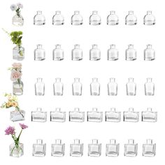 several vases with flowers in them are arranged next to each other on a white background