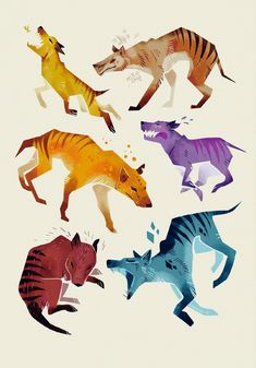 an image of different colored animals on white background