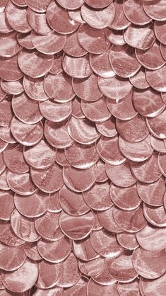 a close up view of the scales of a fish's tail, with pink hues