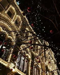 christmas lights decorate the facade of an old building