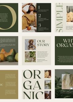 brochure design for organic magazine