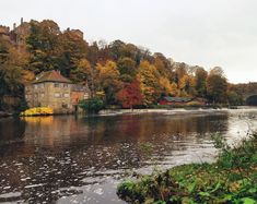 a body of water surrounded by trees with fall foliage on the shore and buildings in the background