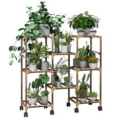 a wooden shelf filled with lots of potted plants