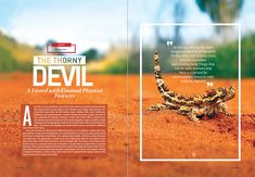 the thorny devil book is open and showing an image of a lizard