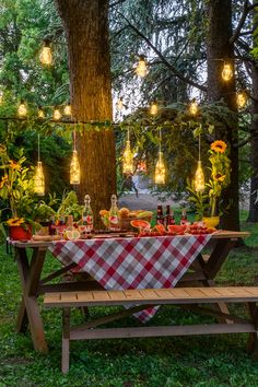 a picnic table with lights hanging from the trees