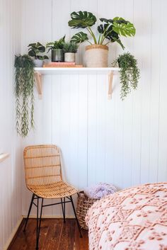 a bedroom with plants on the wall and a bed