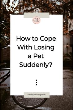 How to Cope With Losing a Pet Suddenly? Intense Emotions, Coping Strategies, Animal Books, Losing A Pet, Pet Loss, Emotional Support, Emotional Wellness, Counseling, Subjects