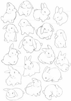 a drawing of rabbits and other animals in various positions, with the outlines to be drawn