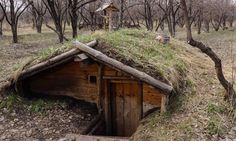 an old wooden hut with grass on top in the middle of trees and dirt ground